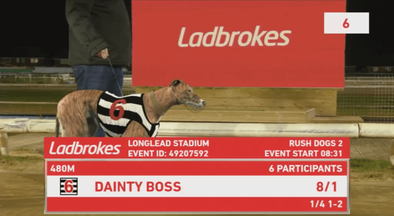 Virtual greyhound 'Dainty Boss' displayed with odds of 8/1 at Ladbrokes